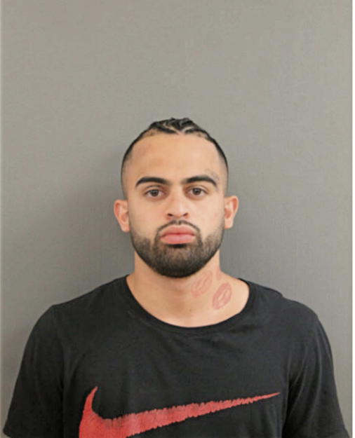 ANDY O ESTRADA, Cook County, Illinois