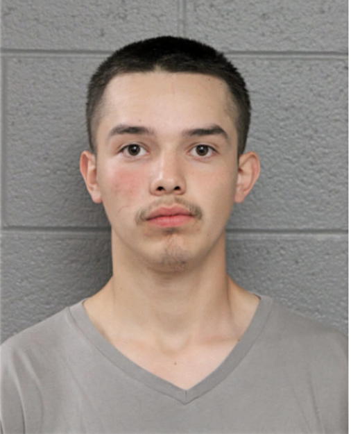 RAYMOND GALLARDO, Cook County, Illinois