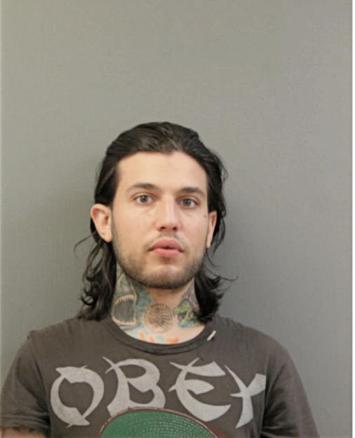 MARK A GERONTZOS, Cook County, Illinois
