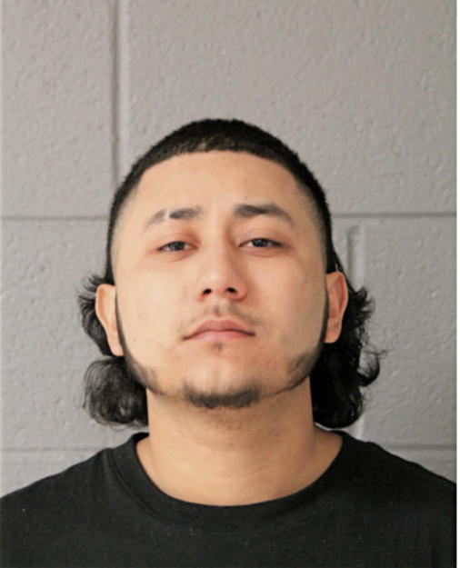 DAMIAN M GONZALES, Cook County, Illinois