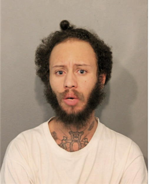 NICHOLAS J GRADY, Cook County, Illinois