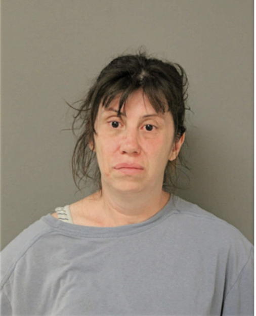 SHEERRY S HAYES, Cook County, Illinois