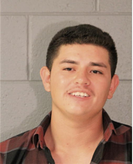 DAVID HERNANDEZ, Cook County, Illinois