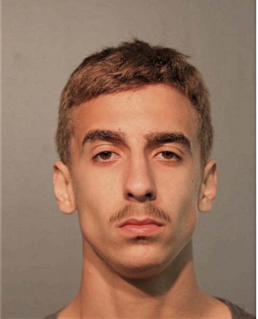 BRANDON JOHNSON, Cook County, Illinois