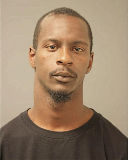 RICHARD A JOHNSON, Cook County, Illinois