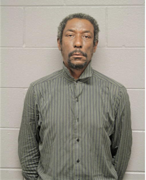 DEREK L KING, Cook County, Illinois