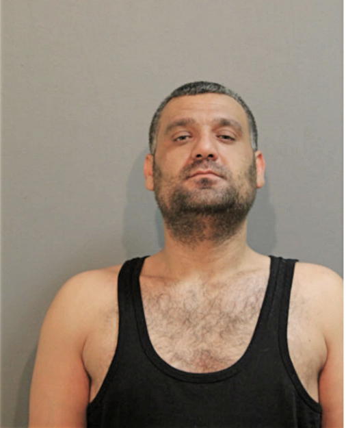 ADLI ADNAN MOUSA, Cook County, Illinois