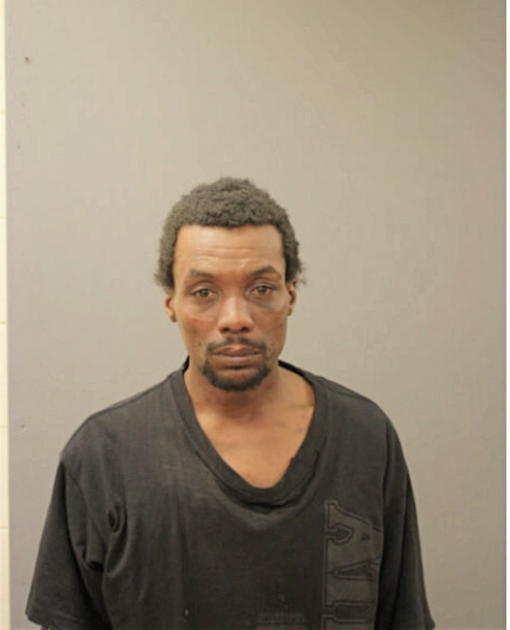 TERRENCE T NELSON, Cook County, Illinois