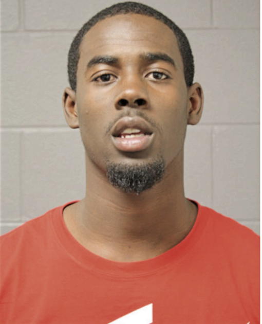 BRANDON D PALMER, Cook County, Illinois