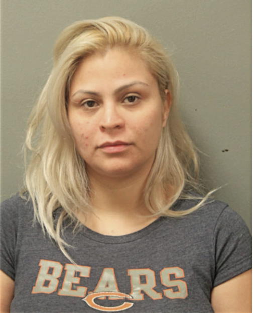JULIANNA PORTILLO-SALGADO, Cook County, Illinois