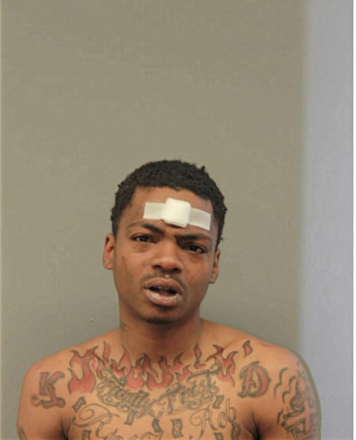 DION D RICHMOND, Cook County, Illinois
