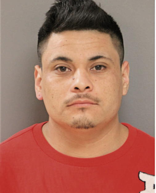 EDGAR SALINAS, Cook County, Illinois