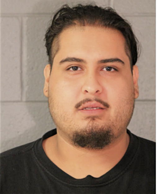 BRIAN R VEGA, Cook County, Illinois