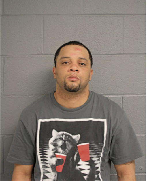 TROYLIN X WHITE, Cook County, Illinois