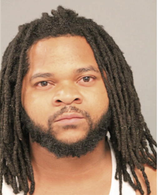 SEAN J WILLIAMS, Cook County, Illinois