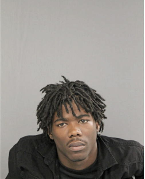 LAVONTAY P ZEIGLER, Cook County, Illinois
