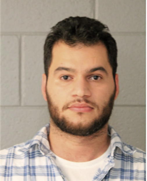 AHMAD YASSIN ABUSUBAIH, Cook County, Illinois