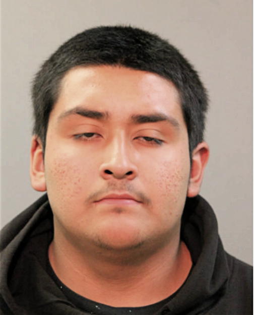 JOSE L ARELLANO, Cook County, Illinois
