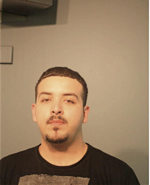 ADRIAN ARMENDARIZ, Cook County, Illinois