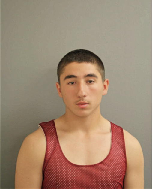 MATTHEW D AYERS, Cook County, Illinois