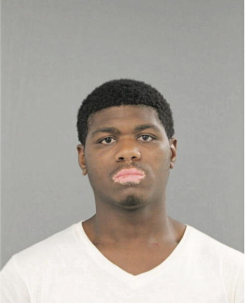 AUSTIN L BRYANT, Cook County, Illinois