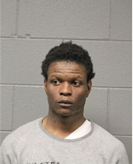 MICHAEL L BUSH, Cook County, Illinois