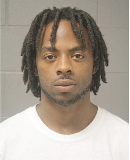 RYAN C COLLINS, Cook County, Illinois