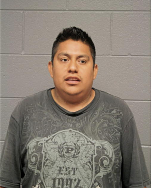 MARCO COLOTL, Cook County, Illinois