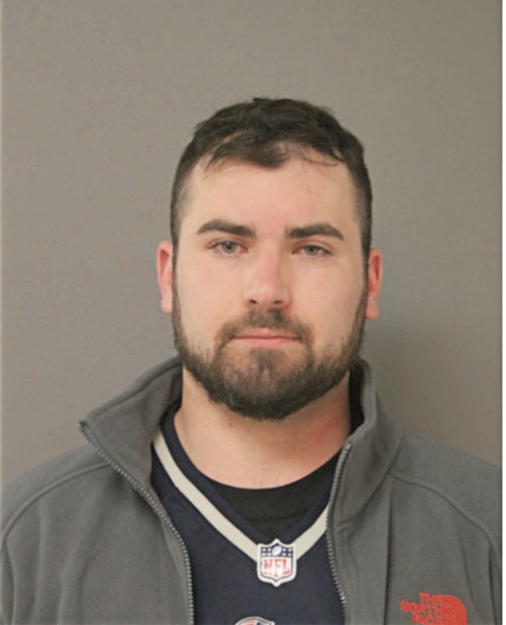 DOMINIC J DALLESSANDRO, Cook County, Illinois