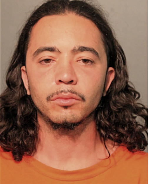 LEONARDO FERNANDEZ, Cook County, Illinois