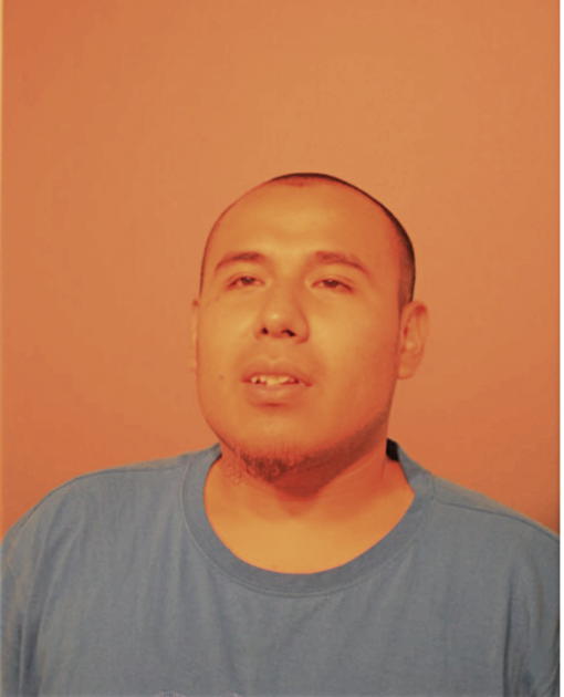 FELIX FIGUEROA, Cook County, Illinois