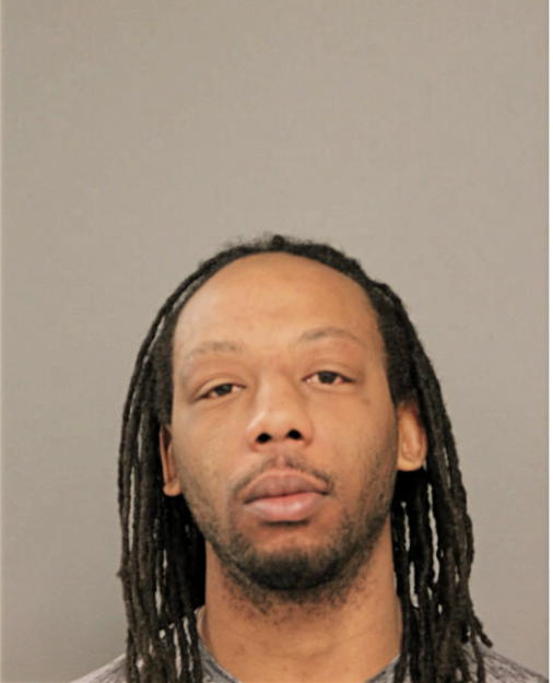 TERRY L HAYES, Cook County, Illinois