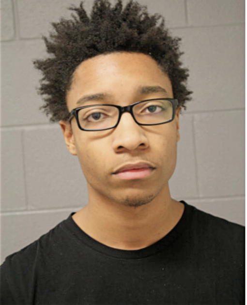 JULIAN P HOPKINS, Cook County, Illinois