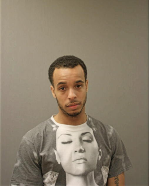 JOSHUA S JOHNSON, Cook County, Illinois