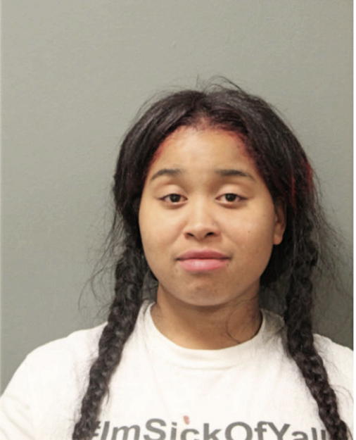 TIERRA R KIRKLAND, Cook County, Illinois