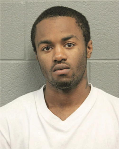 DAMION L LITTLE, Cook County, Illinois
