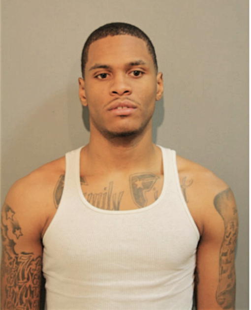 DAVID L MCKINNIE, Cook County, Illinois