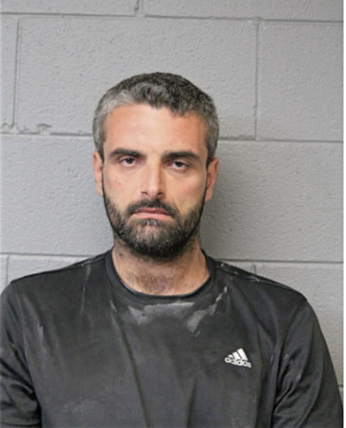 SLAVKO NISAVIC, Cook County, Illinois