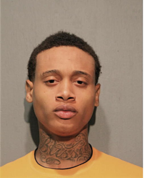 MARCUS J NORRIS, Cook County, Illinois