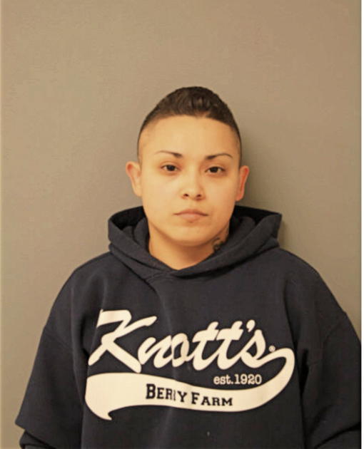 LETICIA PENA, Cook County, Illinois