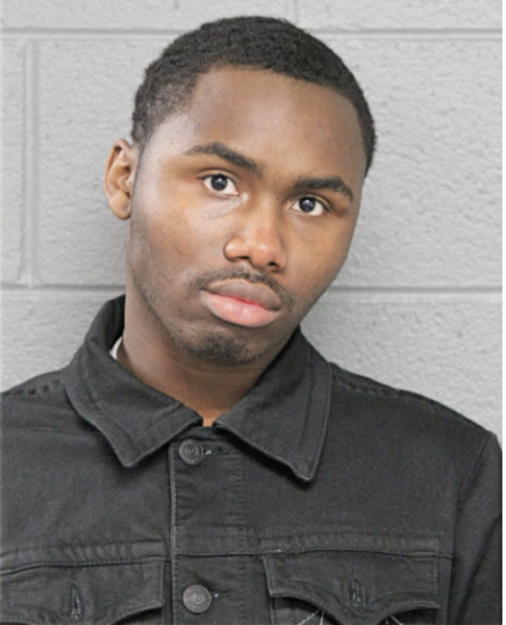TERRANCE N REED, Cook County, Illinois