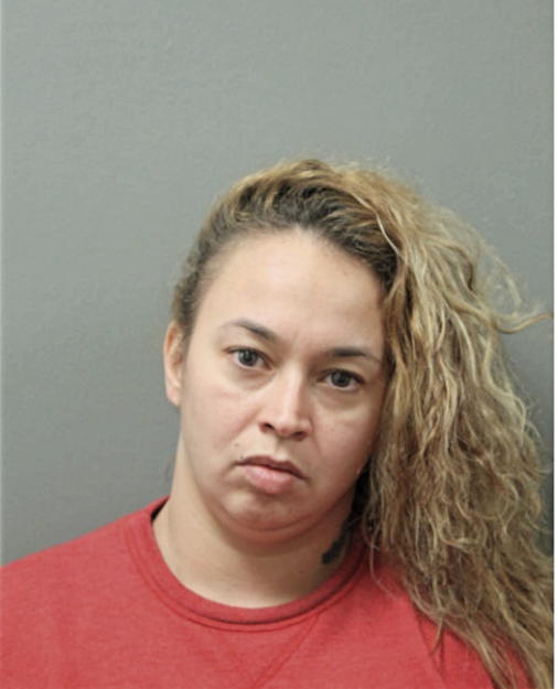 VIRGEN REYES, Cook County, Illinois