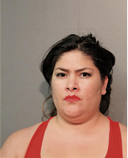REBECCA M ROSAS, Cook County, Illinois