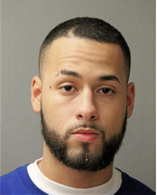 MICHAEL SANTANA, Cook County, Illinois