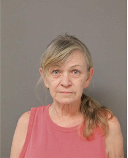 SUSAN B SARY, Cook County, Illinois