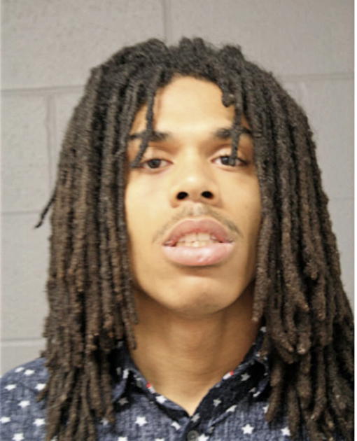 SEAN M TURNER, Cook County, Illinois