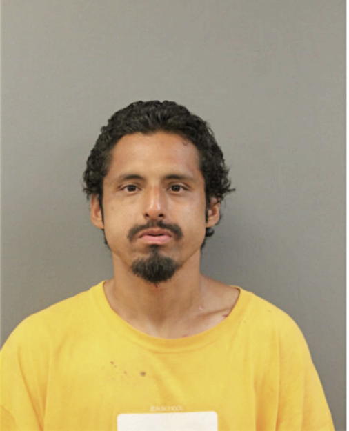 FRANSICO J VEGA, Cook County, Illinois