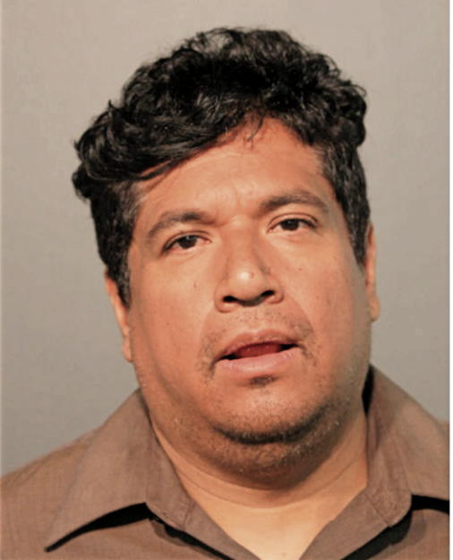 VICTOR M VILLAREAL, Cook County, Illinois