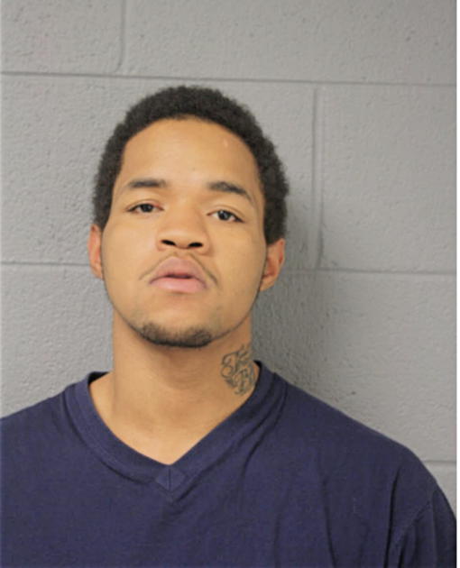 RANDY L WHITE, Cook County, Illinois