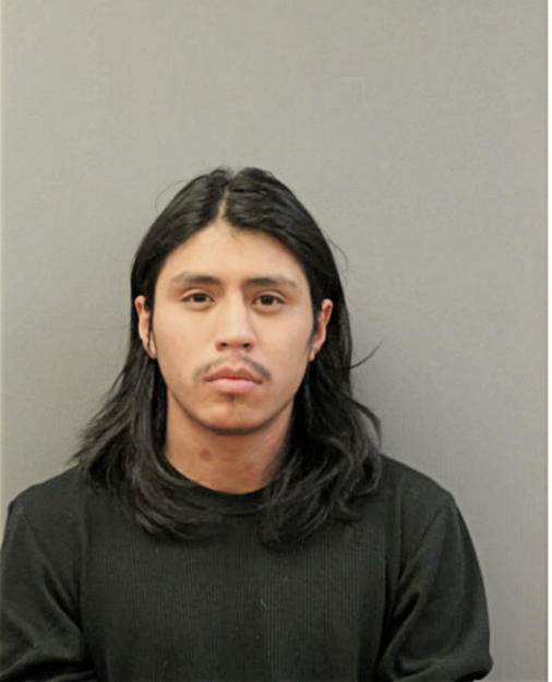 JESUS G AMAYA, Cook County, Illinois